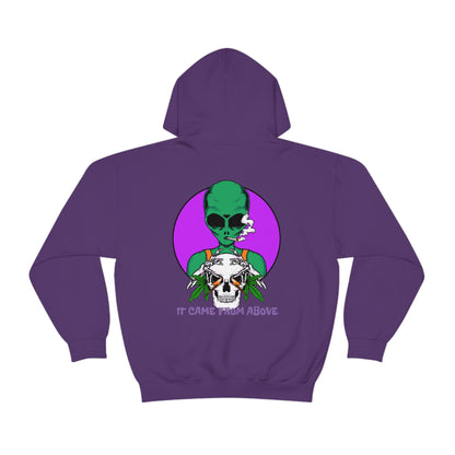 It came from above Skullymack 420 Hooded Sweatshirt