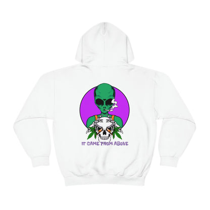 It came from above Skullymack 420 Hooded Sweatshirt