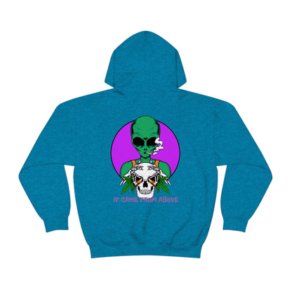 It came from above Skullymack 420 Hooded Sweatshirt