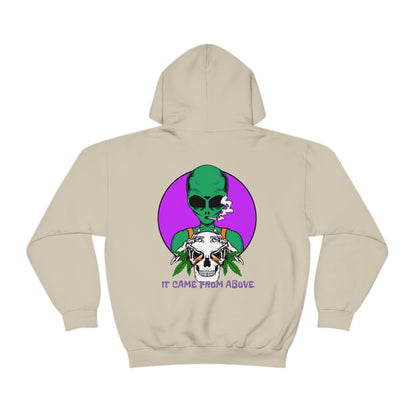 It came from above Skullymack 420 Hooded Sweatshirt